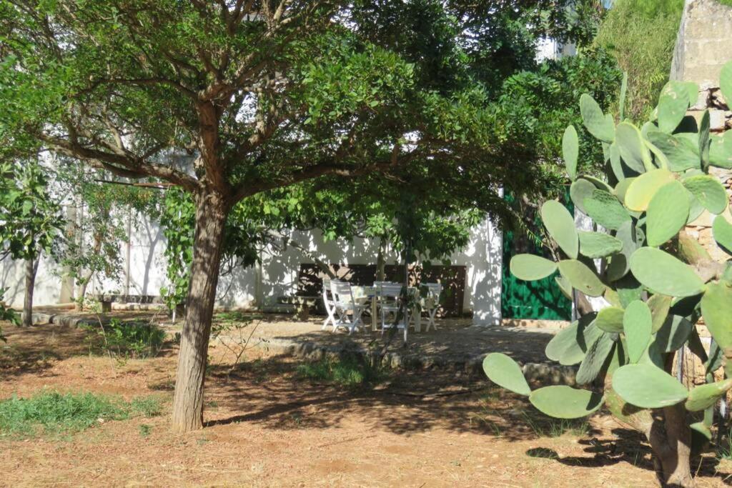 فيلا Casa Colonica غالّيبولي المظهر الخارجي الصورة