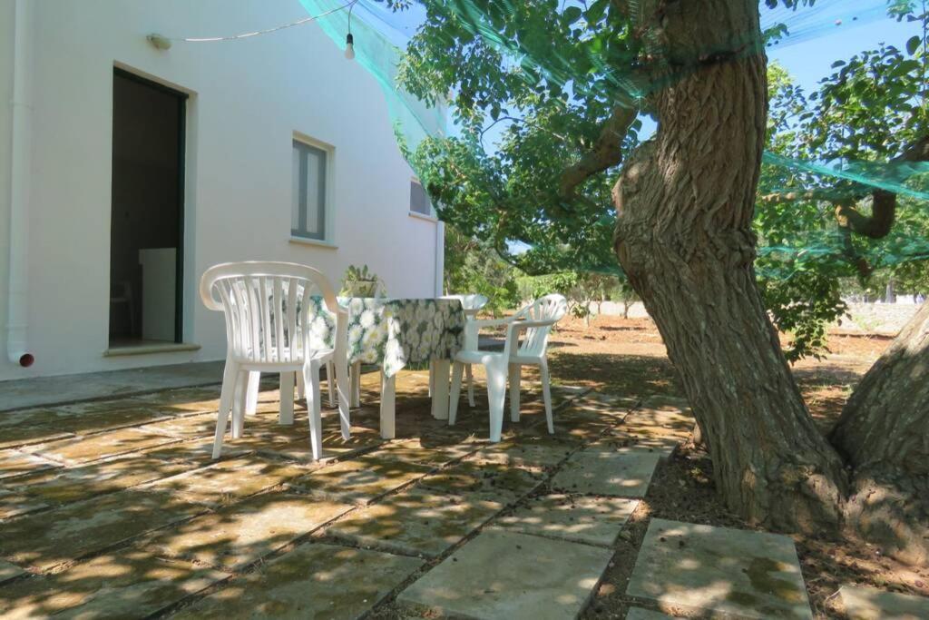 فيلا Casa Colonica غالّيبولي المظهر الخارجي الصورة