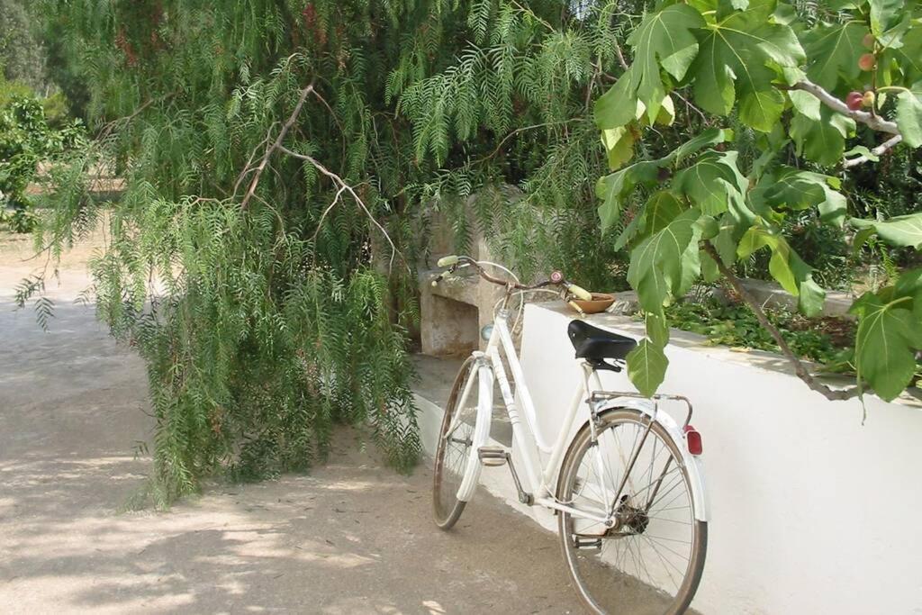 فيلا Casa Colonica غالّيبولي المظهر الخارجي الصورة